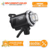 Godox MS300V Studio Flash with LED Modeling Light MS300-V MS300 V