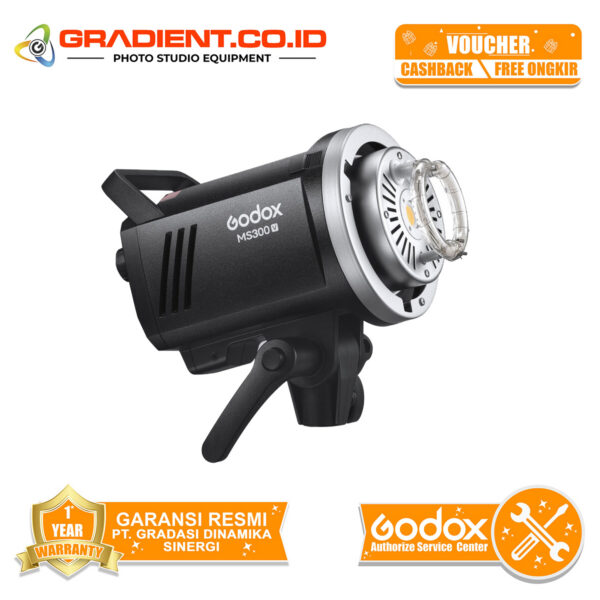 Godox MS300V Studio Flash with LED Modeling Light MS300-V MS300 V