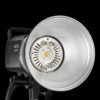 Godox MS300V Studio Flash with LED Modeling Light MS300-V MS300 V