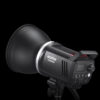 Godox MS300V Studio Flash with LED Modeling Light MS300-V MS300 V